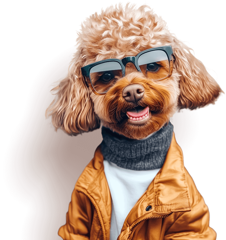 dog picture