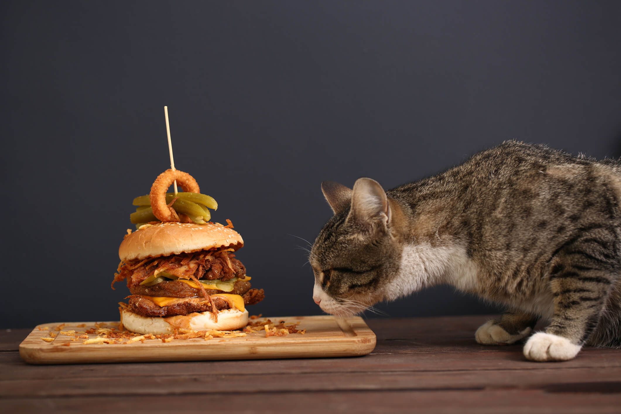 Cat Toxins