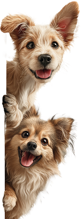 dogs image
